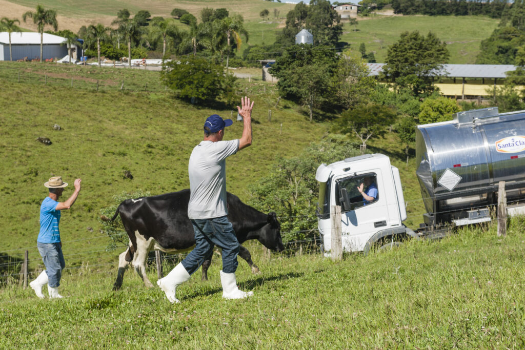 Transportes de leite Santa Clara