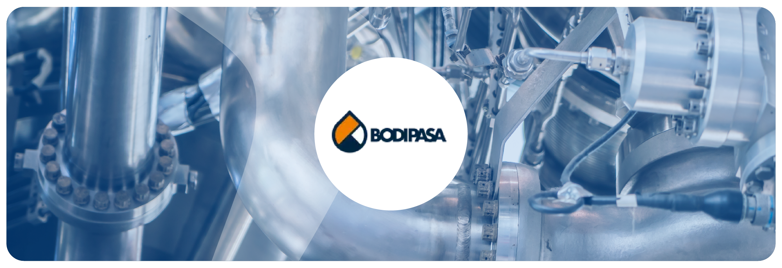 Bodipasa fortalece a gestão de promotores e registra crescimento de 18% nas vendas